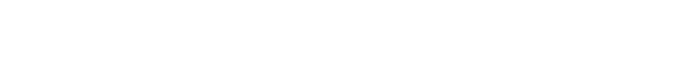 Logo BLAUPUNKT